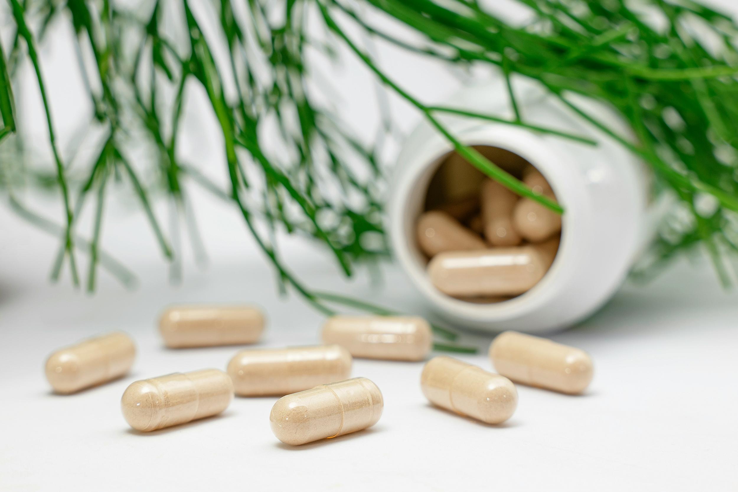 Selection of gut health supplements including capsules, powders and natural remedies on a clean white surface